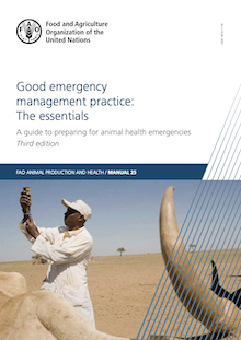 Good emergency management practice: The essentials